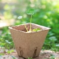 thumbnail image 4 of COMPUKAS 100pcs Degradable Nursery Plant Cups Khaki Paper Pots for Succulent Planting and Storage, 4 of 8