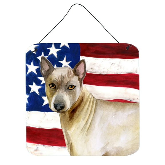 Carolines Treasures BB9680DS66 Thai Ridgeback Patriotic Wall or Door Hanging Prints 6HX6W multicolor