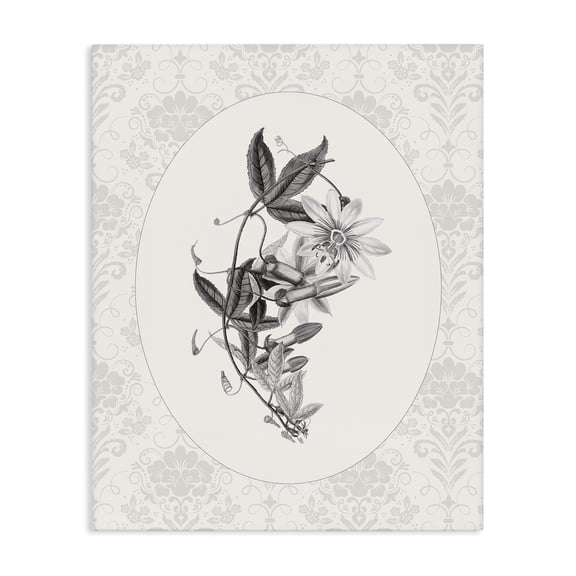 Stupell Industries French Country Vintage Botanical & Lace Canvas Art, 16 x 20, by CAD Designs