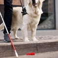 thumbnail image 4 of HONMEET Cane Attachments Plastic Type for Walking Assistance 1Set, 4 of 8