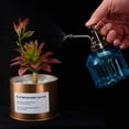 thumbnail image 4 of Botella de aerosol Glass Plant Mister Ebristar, 200 ml, azul, 4 of 7