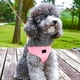 thumbnail image 5 of Arnés para perros pequeños con acolchado ajustable de malla tipo sándwich para paseos seguros y cómodos, con correa para el pecho y la espalda para razas medianas. Suministros para mascotas, 5 of 7
