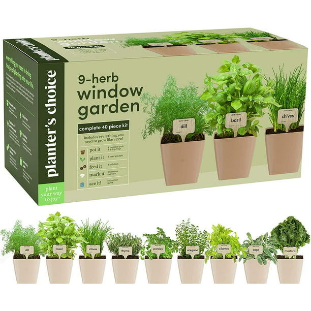 Herb garden seeds plants