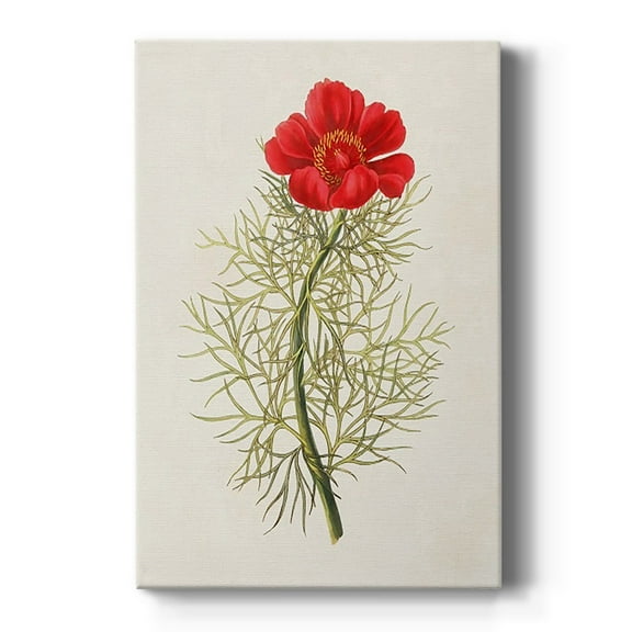 Flowers of the Seasons VII Premium Gallery Wrapped Canvas - Ready to Hang