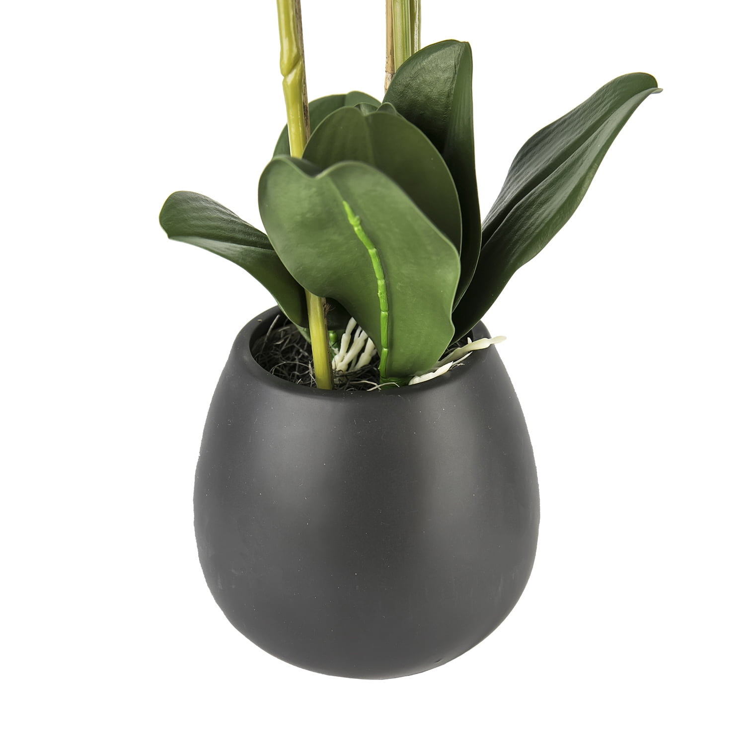 LCG Florals Artificial Flower, 32in Fuchsia Orchid Flower in Decorated Embossed Black Ceramic Pot, Fake Faux Indoor Plant for Home Decor