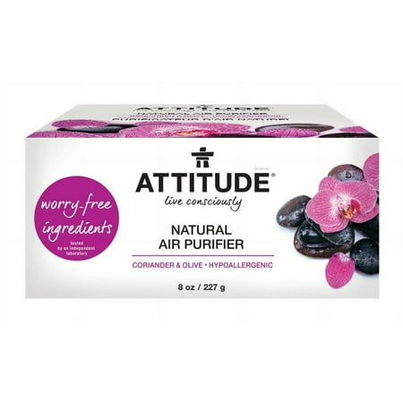 Attitude Live Consciously Natural Air Purifier, Coriander & Olive, 8 Oz