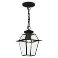 thumbnail image 2 of Livex Lighting Westover 1 Light Outdoor Chain Lant, 2 of 5