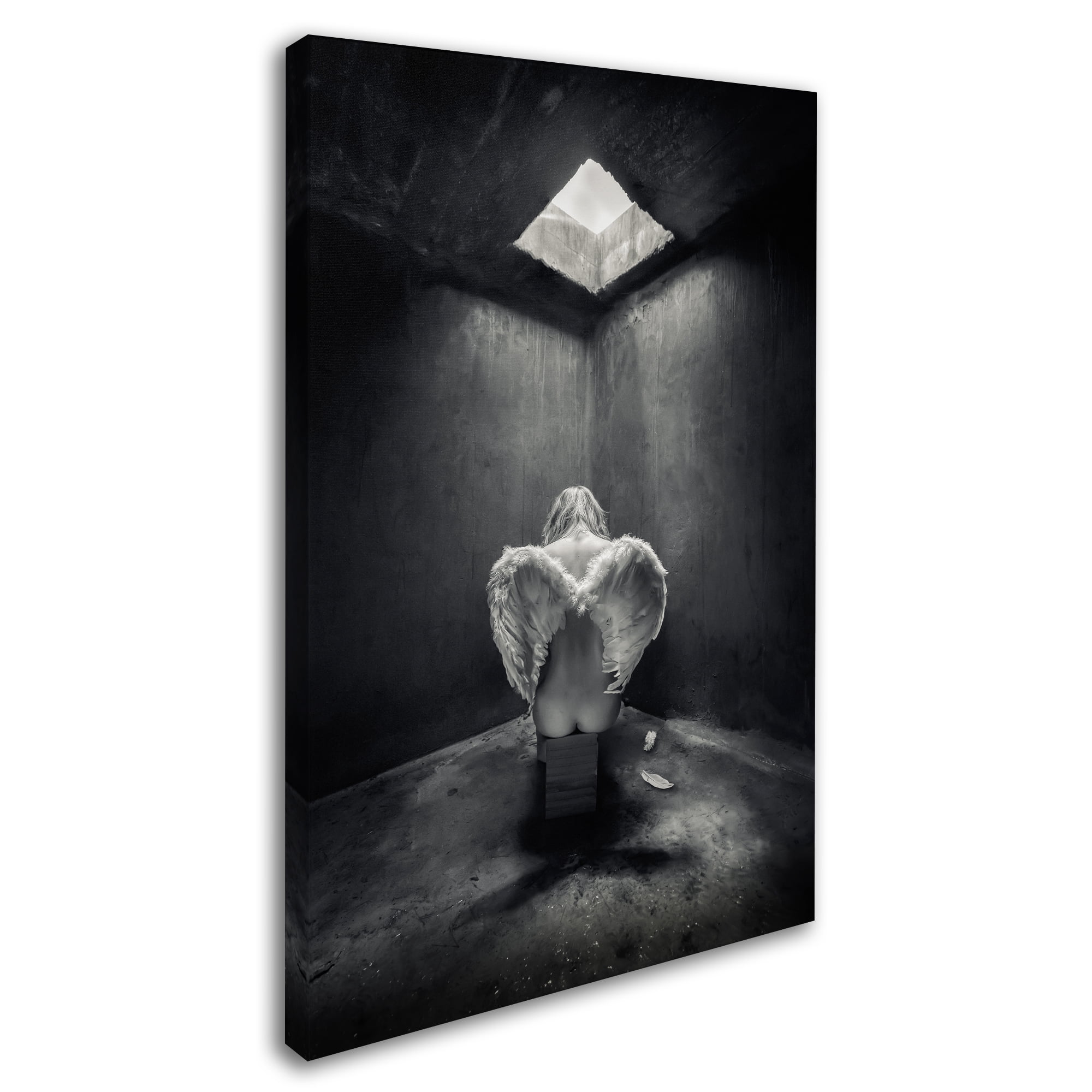 Petar Lupic 'Busted' Canvas Art