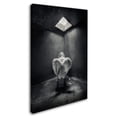 thumbnail image 2 of Petar Lupic 'Busted' Canvas Art, 2 of 3