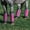 Pink, variant on Professionals Choice DELUXE SMALL PONY FLY BOOT Orange SMALLPONY