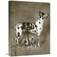 thumbnail image 1 of Global Gallery's 'Cover Up' By Jim Dratfield Stretched Canvas Wall Art, 1 of 4