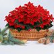 thumbnail image 4 of Fiudx Flores Artificiales de Pascua, Ramo de Terciopelo Rojo, Tallo Robusto, Decoración Navideña, Centro de Mesa para Bodas, Decoración para El Hogar y La Oficina, Juego de 3 Piezas, 28 Cm, 4 of 6