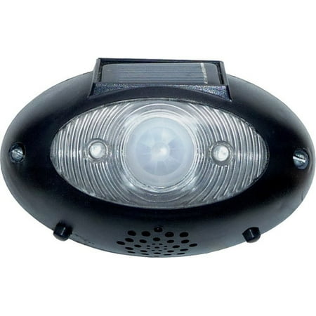 Homebrite Solar Solar 3-Light Flood Light