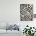 thumbnail image 3 of Trademark Fine Art 'Belfast Northern Ireland City Map Black' Canvas Art by Michael Tompsett, 3 of 4