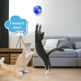 thumbnail image 4 of LED Motion Activated Cat Ball - 3pcs LED Motion-Activated, Exercise Toy for Cats and Small Dogs, 4 of 6