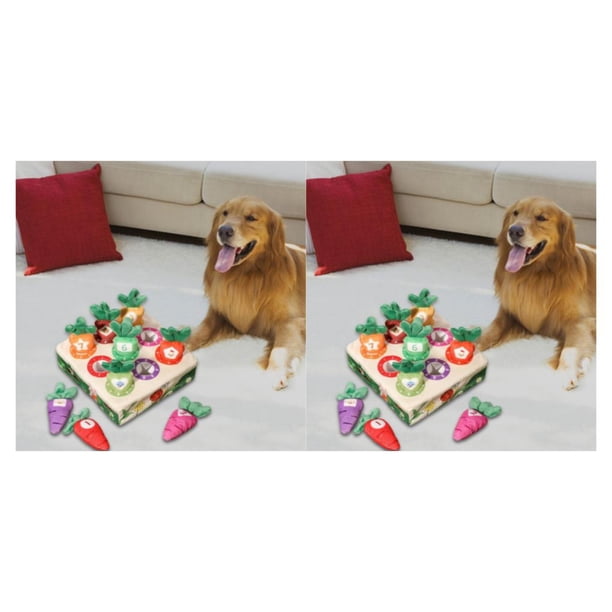 Billuyoard Divertido juguete de peluche de zanahoria para perros, frutas vegetales, juguete para tirar de zanahorias 9 hoyos 2piezas