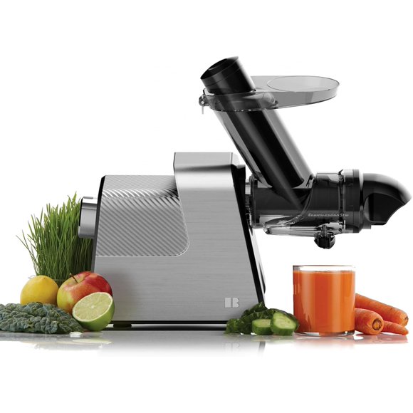Anybear Masticating Juicer Machines, 3.5" Large Feed Chute Cold Press Juicer Fit Whole Fruits Vegetables with Quiet Motor | 5 Speed Modes | Easy to Clean with Brush | BPA Free (Silver & Black)