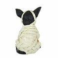 thumbnail image 2 of Ganz Costume Dog Figurine - One Figurine 3.75 Inch, Polyresin - Vampire Jack-O-Lantern Ghost Er72731 Mummy, 2 of 3