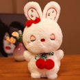 thumbnail image 3 of Conejo de cerezas de peluche para niños, muñeco de peluche de 30-70cm, adorable conejo de peluche, adorable regalo de cumpleaños, 3 of 5