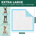 thumbnail image 2 of Empapadores para perros YOPETKI 71 x 86 cm XL, 100 unidades, súper absorbentes, 2 of 8