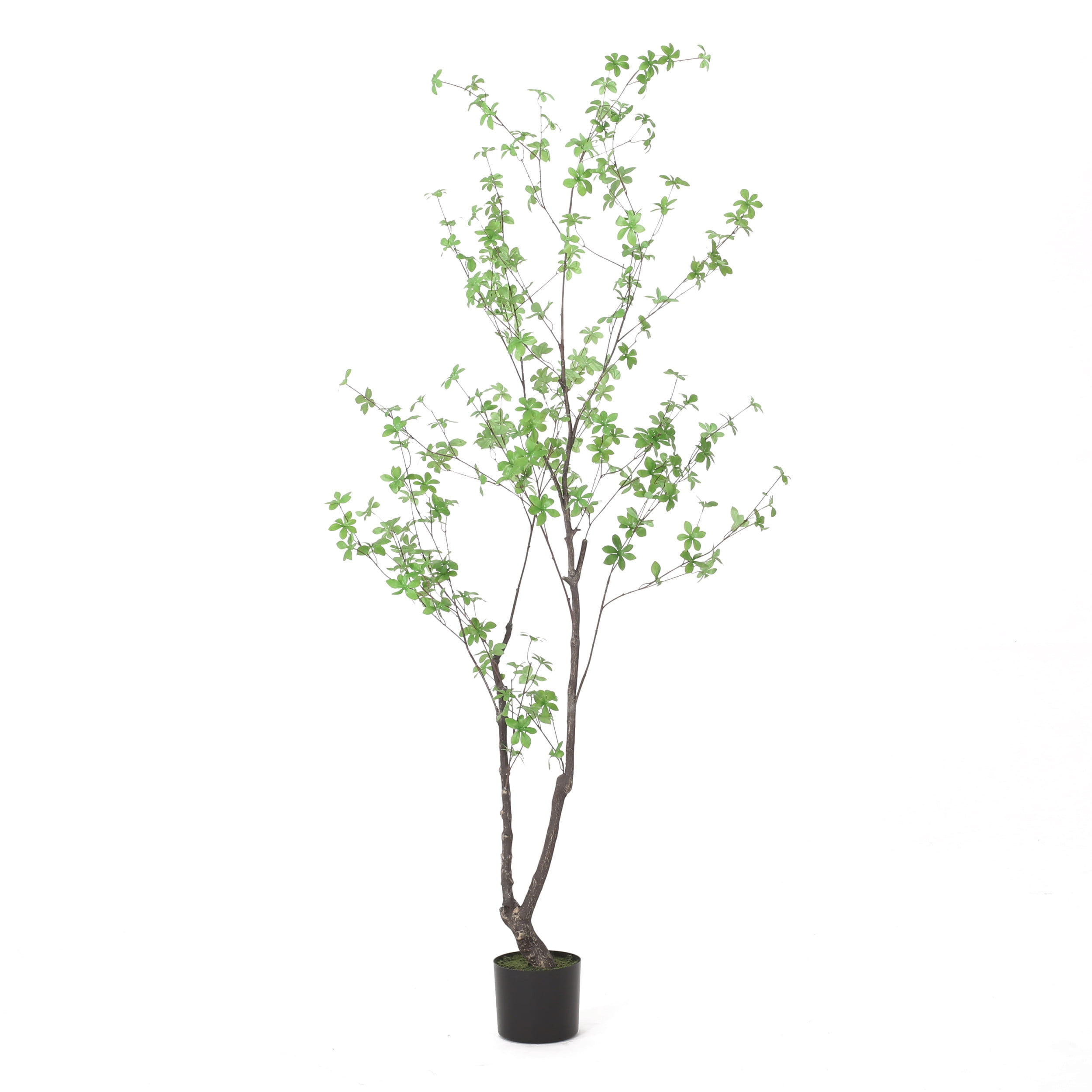 Noble House Coles 6' x 3' Artificial Enkianthus Tree, Green