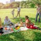 thumbnail image 4 of Bolsa Picnic Camping Almuerzo Cremalleras Dobles Enfriador Suave para Acampar Verde, 4 of 4