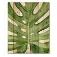 thumbnail image 3 of Designart 'Close Up Green Monstera Leaf Tropical Palm' Tropical Print on Natural Pine Wood, 3 of 5