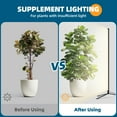 thumbnail image 5 of Barrina 6.50" 42W LED Full Spectrum Indoor Grow Light, 5 of 7