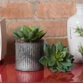thumbnail image 2 of Vickerman FA170401 Vert &amp; Cactus Gris Succulent, 2 of 3