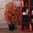 thumbnail image 4 of Vickerman 4' Artificial Orange Maple Bush, Rattan Basket., 4 of 4