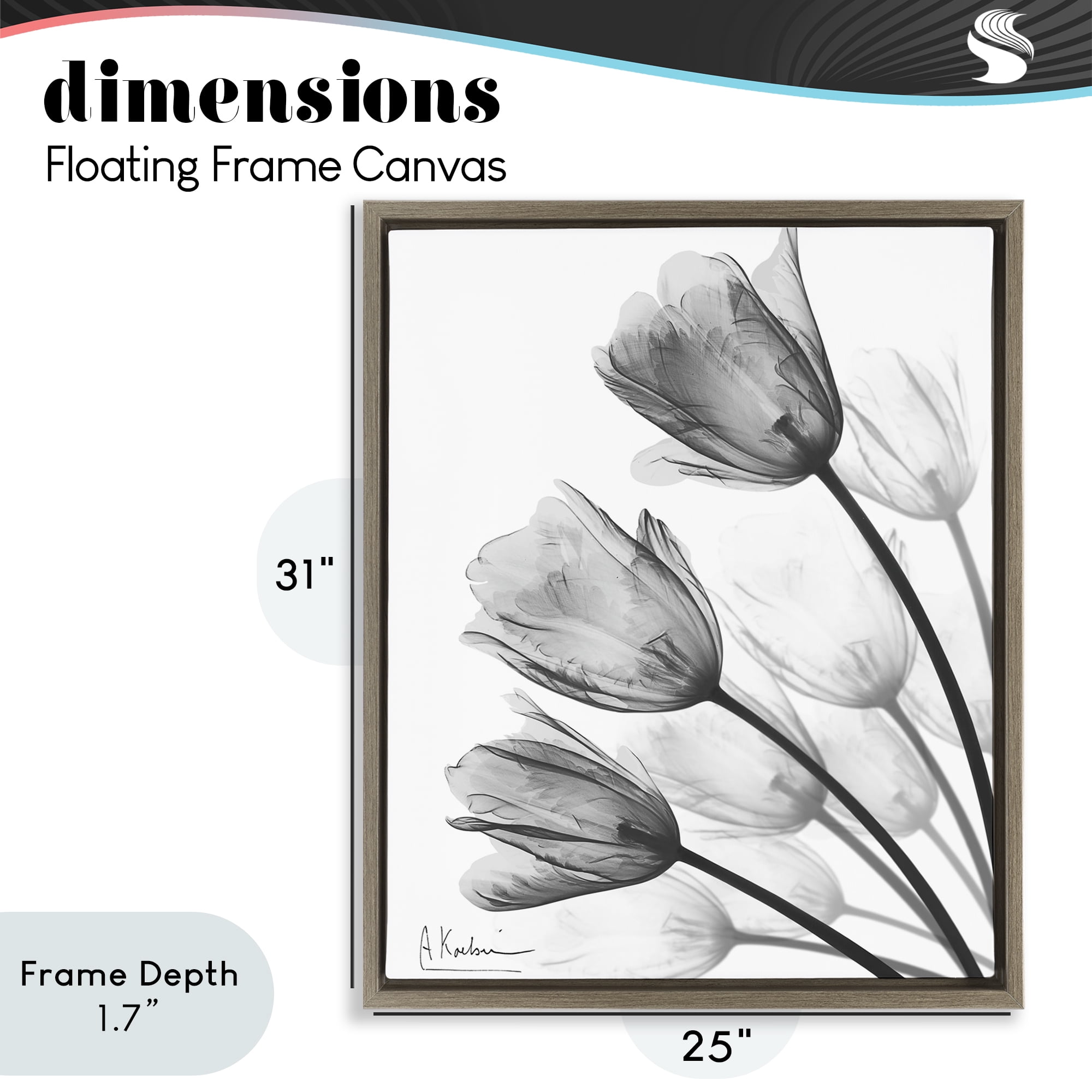 Stupell Industries Minimalist Tulip Fan Brown Framed Floater Canvas Wall Art, design by Albert Koetsier