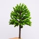 thumbnail image 5 of Inteprter Planta en miniatura de plástico de 20 piezas, apariencia realista, ecológica, duradera, para interior Arboles Artificiales, 5 of 6