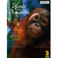 thumbnail image 1 of Diario Del Orangutan Documental BBC Serie Completa DVD, 1 of 2