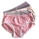 thumbnail image 1 of Lace Underwear Women Lace Underpants with Bowknot Design 5Pcs Pack, 1 of 4