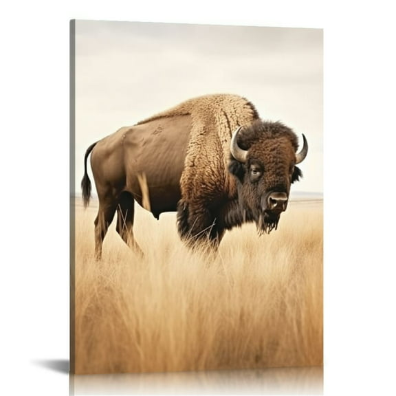 JEUXUS American Buffalo Wall Art Pictures - Wild Animal Bison Prints Rock Mountain Landscape National Park Photography for Home Decor 16x20 inch 16x20\