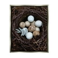 thumbnail image 3 of Stupell Industries Close Up Bird Eggs Nest Wildlife Nature Photography Photograph Luster Gray Floating Framed Canvas Print Wall Art, Design by Tania Soderman, 3 of 5