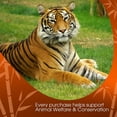 thumbnail image 2 of David Rio - Chai Mix, Tiger Spice, 14 onzas, 2 of 6
