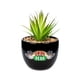 thumbnail image 1 of Planta decorativa artificial con vegetación artificial Silver Buffalo, 1 of 7