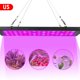 thumbnail image 1 of Luz Led Para Plantas, Plántulas De Invernadero, Luz De Relleno Para El Crecimiento De Plantas Suculentas, Luz De Cultivo De Plantas De Espectro Completo Methold HA027179-04, 1 of 6