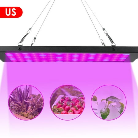 

LED Plant Light Greenhouse Seedling Succulent Plant Growth Filling Light Full Spectrum Plant Grow Light