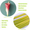 thumbnail image 3 of Artificial Calla Lily 10pcs 26 Inch Long Stem Arum Lily for Home Décor Centerpieces Wedding Bridal DIY Bouquet(Light Crimson), 3 of 5