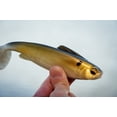 thumbnail image 5 of 6th Sense - Hangover - Co-Designed w/Ben Milliken - Line-Thru, Treble Hook, Soft Plastic Swimbait, 5 of 5