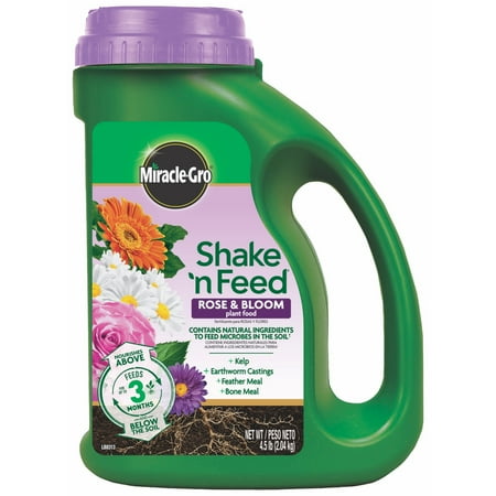 Miracle-Gro Shake 'N Feed Rose & Bloom Plant Food (Best Plant Food For Roses)