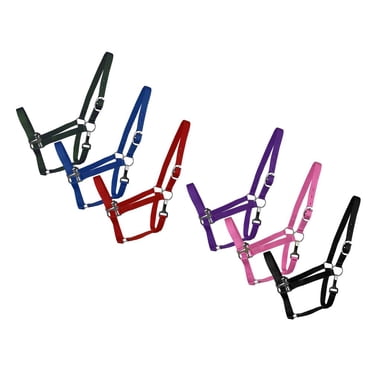 2-Ply Nylon Cob Halter (Black)