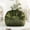 Green, variant on Noble House Dorothy Faux Fur Bean Bag Chair, Comfy Large Memory Foam Gaming Lounge Sofa for Living Room, Brown