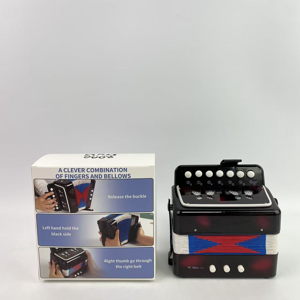 ROAD DOG Musical instruments, Accordion 10 button accordion toy for beginners, lightweight and environmentally friendly (10 button black)