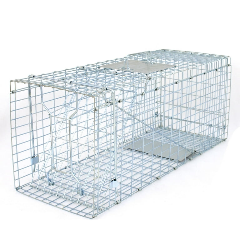 Humane Smart Double Door Rat Trap Steel No Kill Live Catch with Air Holes Mice  Trap Effective Sanitary Safe Mouse Cage Traps - AliExpress