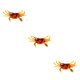 thumbnail image 5 of Injueey cangrejos de simulación herramienta de cebo de silicona señuelo de pesca artificial señuelos cabeza agua salada agua dulce 10 cm 30 Type1 NO1, 5 of 6
