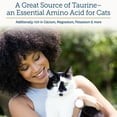thumbnail image 4 of Rx Vitamins Feline Minerals - Taurine for Cats for Cat Heart Health - Calcium for Cat Joint Supplement - Immune Support for Cats with Magnesium & Potassium - Cat Skin and Coat Supplement - 8oz, 4 of 8