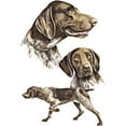 thumbnail image 3 of CafePress - German Shorthaired Pointer Ash Grey T Shirt - Men's Classic Graphic T-Shirt, 3 of 4